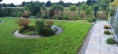 /album/sektor-miedzypole-aleja-xx-8/img-20260902-155822-jpg/