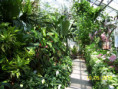 /album/krakow-ogrod-botaniczny-2012-r/100-1399-jpg/