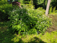 /album/rogow-i-lodz-2021-r/img-20211220-wa0016-jpg/