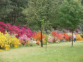 /album/warszawa-wilanow-powsin-2013-r/p5256650-jpg/