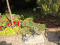 /album/wroclaw-henrykow-wojslawice-2011-r/dscf9056-jpg/