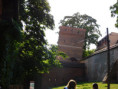 /album/torun-2019-r/dscn2702-jpg/