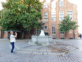 /album/torun-2019-r/dscn2756-jpg/