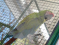 /album/torun-2019-r/dscn2823-jpg/