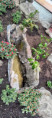 /album/kotlina-klodzka-2023-r/img-20230515-wa0026-jpg/