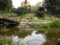 /album/wroclaw-2018-r/dscn9952-jpg/